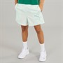 Puma Mens Essentials Woven 5 Inch Shorts Bleu