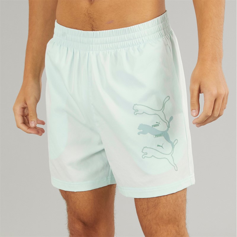 Puma Mens Essentials Woven 5 Inch Shorts Bleu