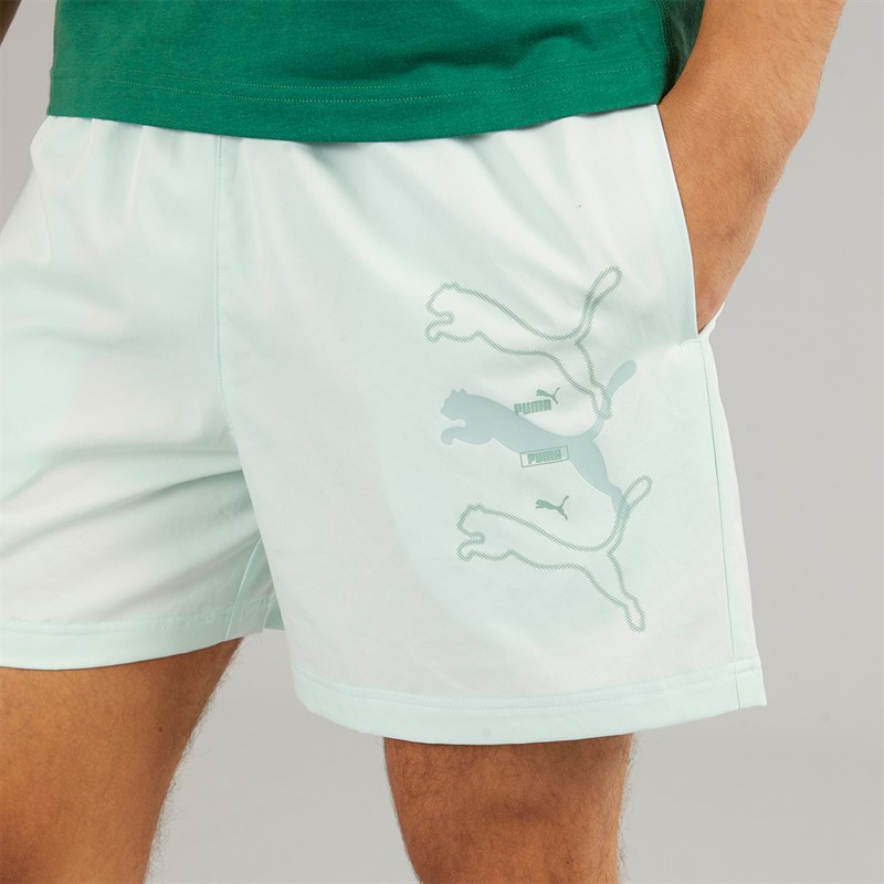 Puma Mens Essentials Woven 5 Inch Shorts Bleu
