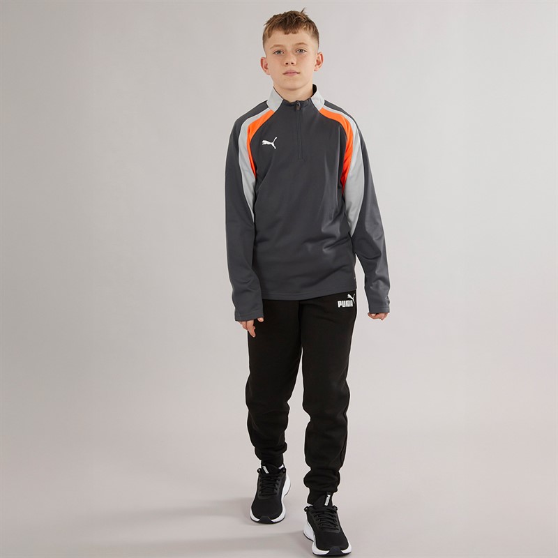 Puma Junior Boys IndividualLIGA 1/4 Zip Top Shadow Grey