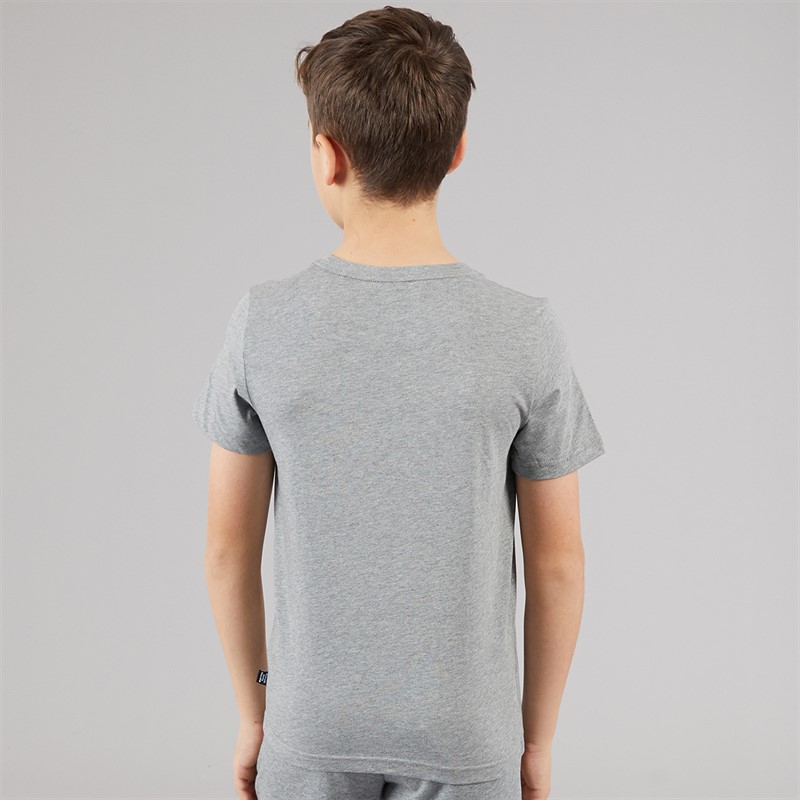 Puma Junior Boys Essentials+ Cat Logo T-Shirt Medium Grey Heather
