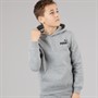 Puma Junior Boys Essentials Small Logo Hoodie Medium Grey Heather