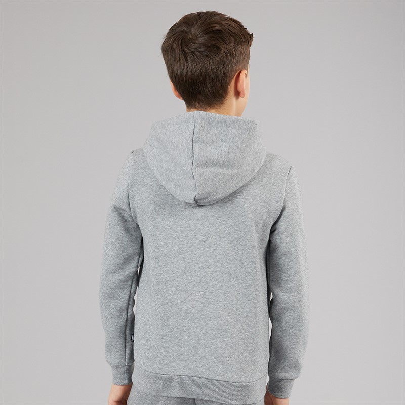 Puma Junior Boys Essentials Small Logo Hoodie Medium Grey Heather