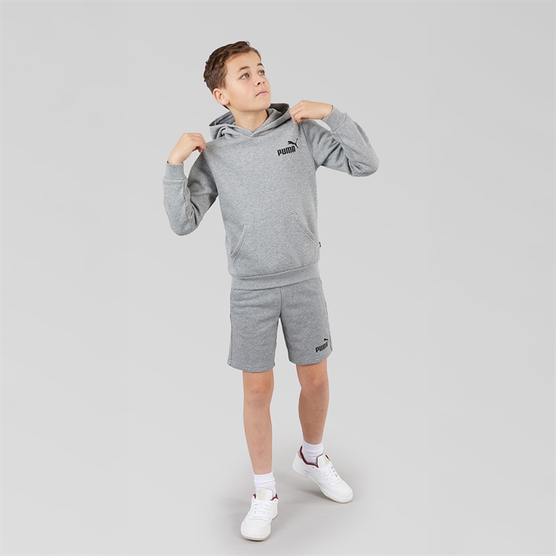 Puma Junior Boys Essentials Small Logo Hoodie Medium Grey Heather
