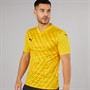 Puma Mens teamGLORY Training Jersey Yellow