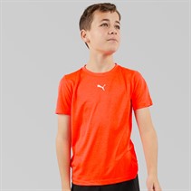 Puma Junior Boys Train All Day Essentials Heather T-Shirt Glowing Red