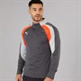 Puma Mens Individualliga 1/4 Zip Top Shadow Grey