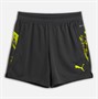 Puma Junior Boys Individualcup Shorts Galactic Gray