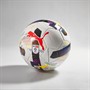 Puma Orbita 6 EFL Sky Bet MS Training Football Puma White/Multi Colour Rainbow