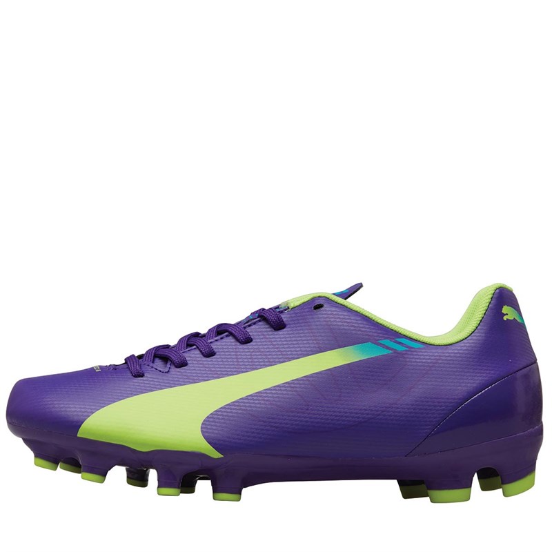 puma evospeed 5.3 fg