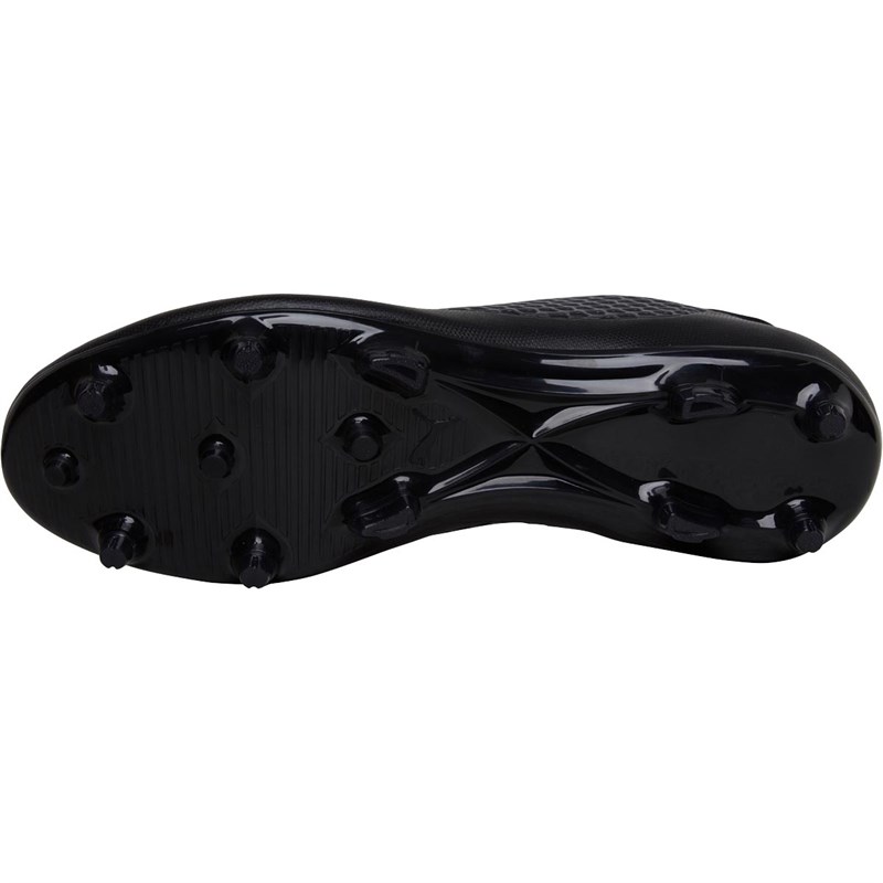 Buy Puma Mens Future 2.4 FG/AG Football Boots Puma Black/Puma Black