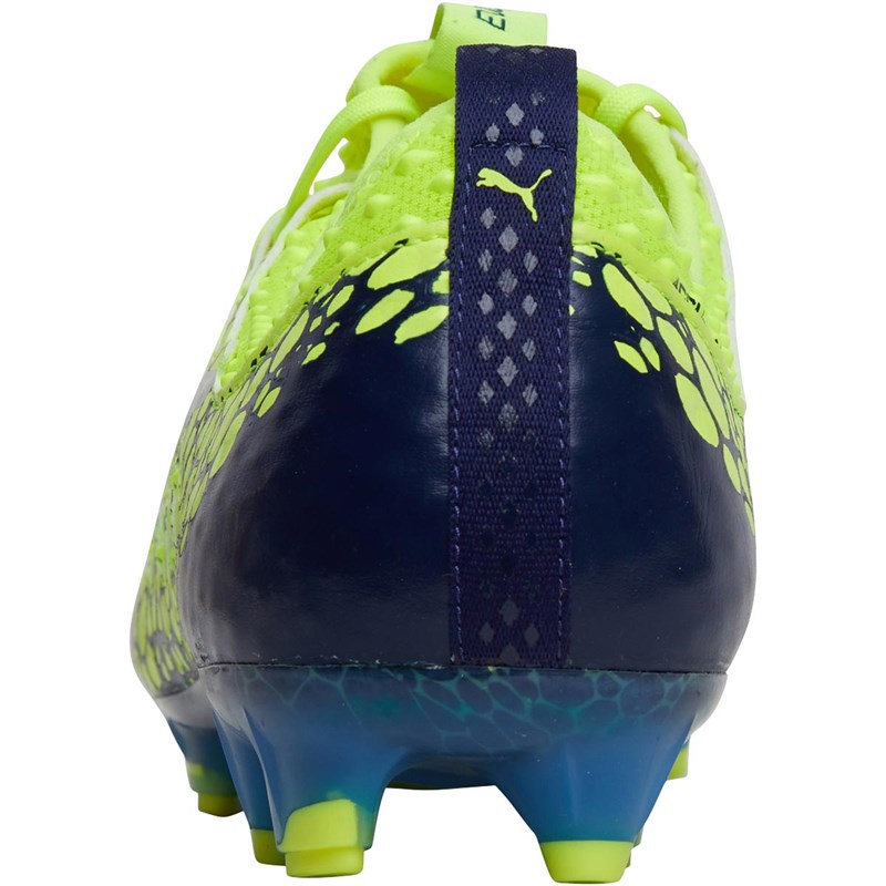 evopower vigor 1 graphic fg
