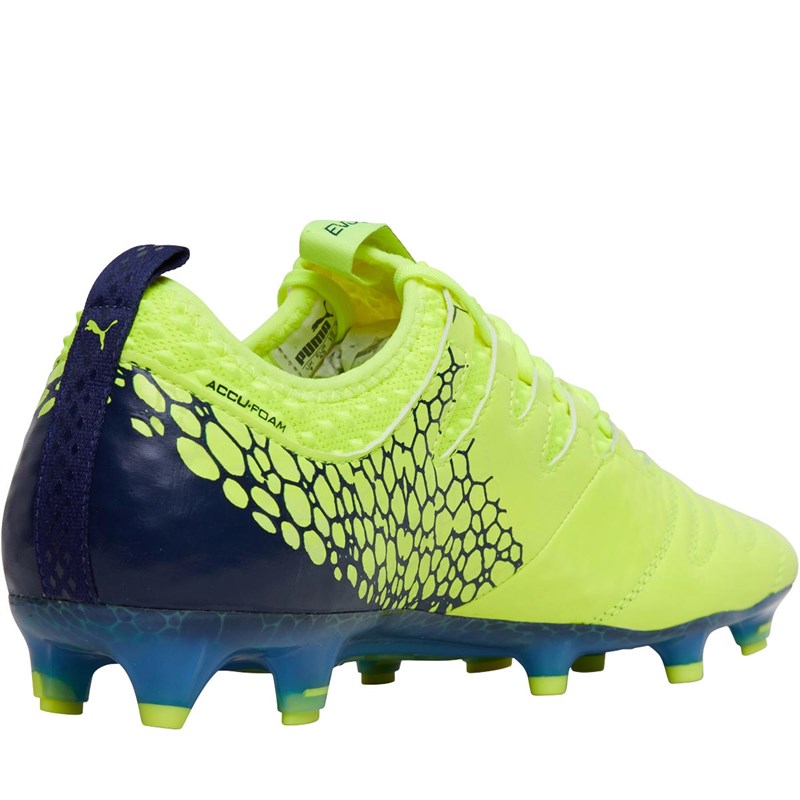 evopower vigor 1 graphic fg