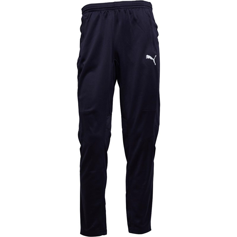 men's puma training pants