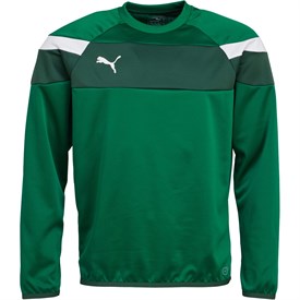 Puma Heren Spirit Ii Lange Mouwen Top Groen puma kopen in de aanbieding