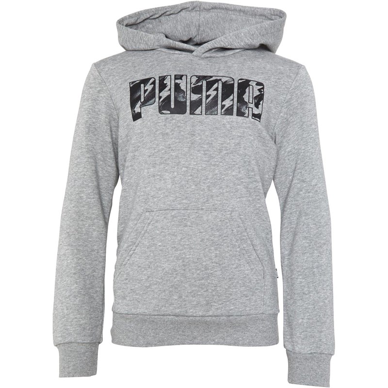 Buy Puma Junior Graphic Fleece Hoodie Grey Heather