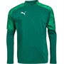 Puma Mens Cup Training 1/4 Zip Top Alpine Green/Pepper Green