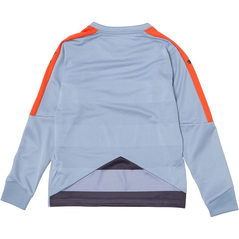 Puma Junior Stadium Goalkeeper Jersey Grey/Black