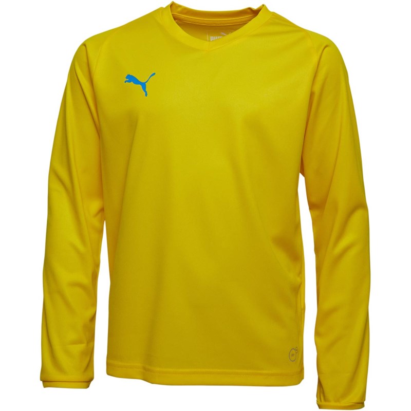 core long sleeve jersey