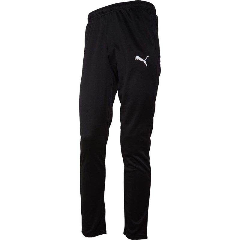 men's puma training pants
