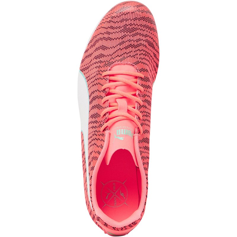 evospeed star 6