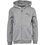 Puma Sweat à Capuche Graphic Junior Gris