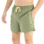 Quiksilver Mens Behind Waves Swim Shorts Four Leaf Clover