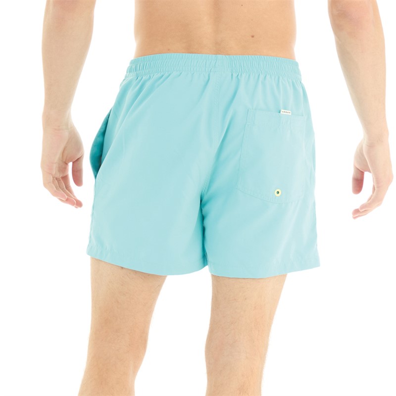 Quiksilver Mens Behind Waves Swim Shorts Marine Blue