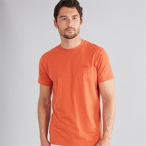 Weird Fish Mens Bait T-Shirt Rust Leaves