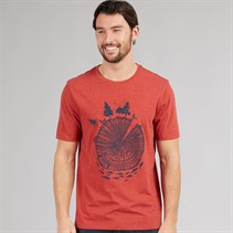 Weird Fish Mens Timber Graphic T-Shirt Nut