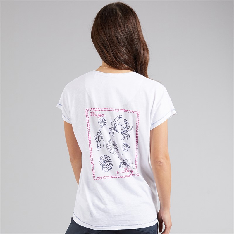 Weird Fish Womens Seashells T-Shirt White