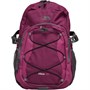 Trespass Albus 30 Litre Rucksack Ash