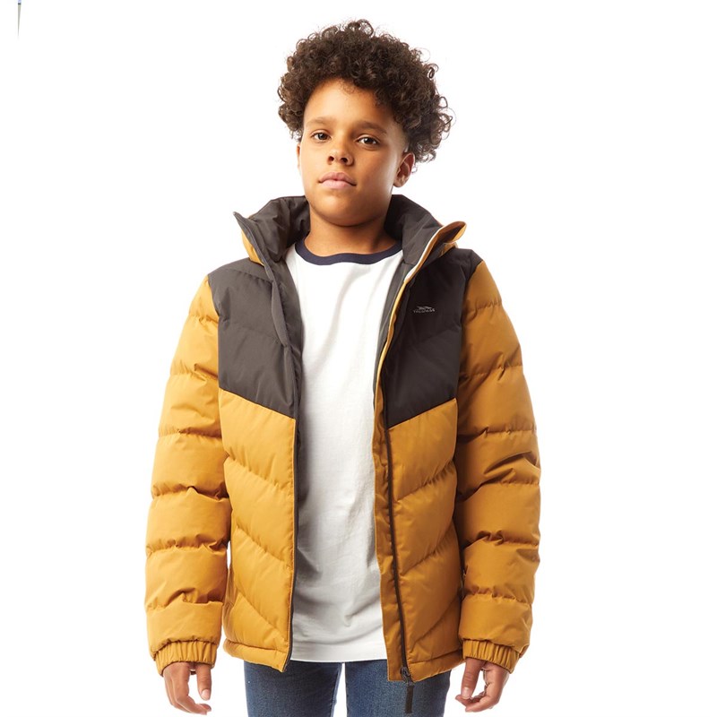 Buy Trespass Junior Boys Luddi Waterproof Padded Hooded Jacket ...