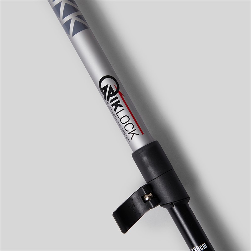 Trespass Qiklock Walking Pole Silver