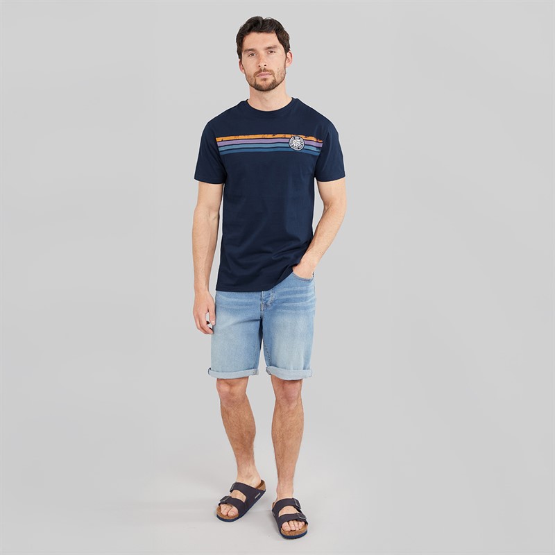 Saltrock Mens Spray Stripe T-Shirt Bluedres