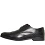 REDTAPE Herre Thomas Crick By Banks Brogues Sort