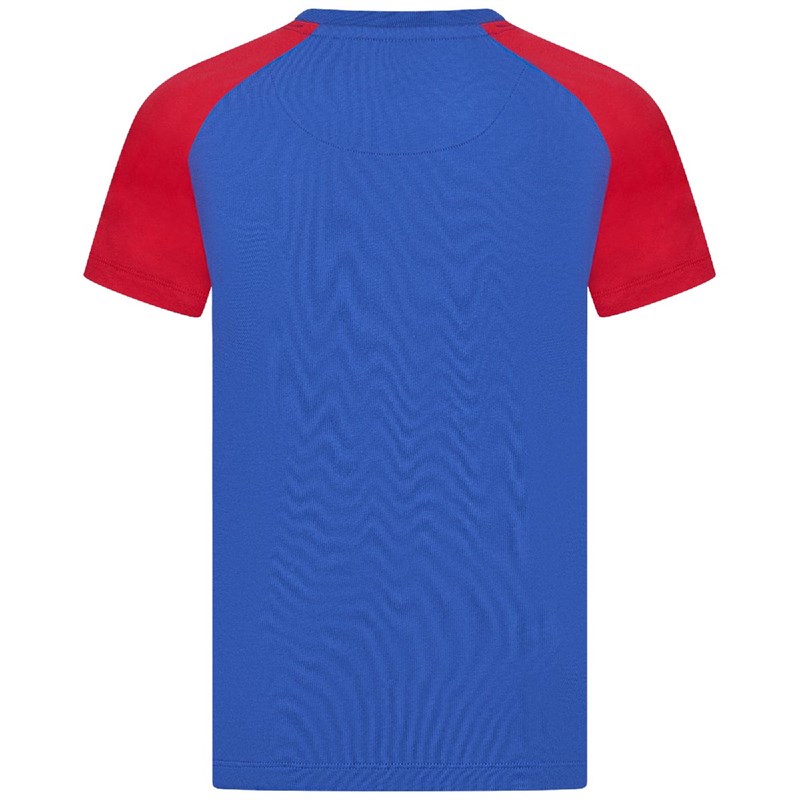 Russell Athletic Tee-Shirt Raglan Junior Bleu