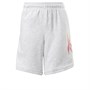 Reebok Junior Vector Rainbow Shorts Light Grey Heather