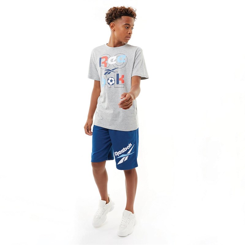 Reebok T-Shirts Graphic Garçon Gris