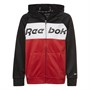 Reebok Dziecięce Childrens block Bluzy z kapturami Wielobarwny