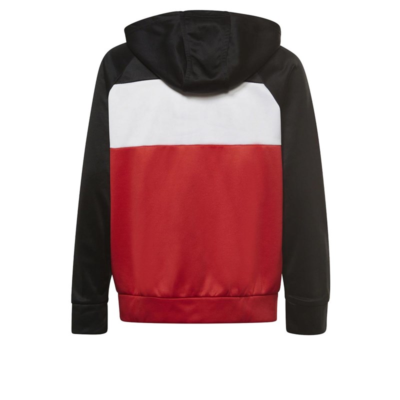 Reebok Dziecięce Childrens block Bluzy z kapturami Wielobarwny