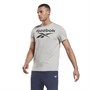Reebok Herren Identity Big Logo T-Shirts Grau