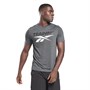 Reebok Mens Vector Logo Graphic Speedwick Training Top Dark Grey Heather