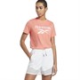 Reebok Damen Workout Elements Identity Big Logo T-Shirts Rosa