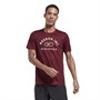 Reebok Mens Workout Ready Graphic Speedwick Training Top Maroon