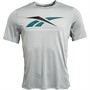 Reebok Mens Activchill Graphic T-Shirt Pure Grey