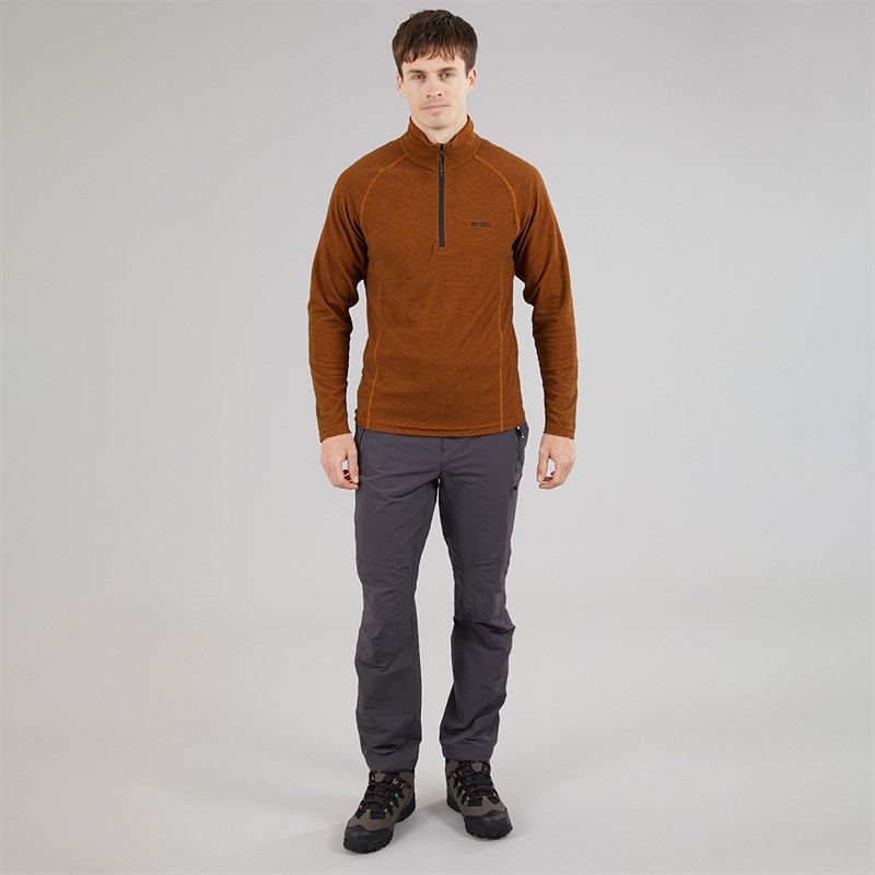 Regatta Mens Highton Walking Trousers Seal Grey