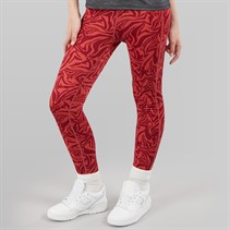 Regatta Girls Barlia Winter Printed Leggings Mineral Red Zebra