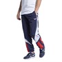 Reebok Classics Unisex Twin Vector Sport træningsbukser Blå
