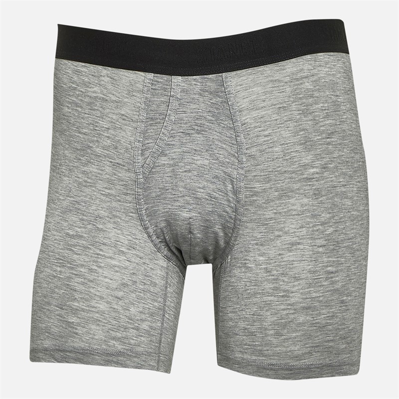 STANCE Mens Staple Boxers Heather Grey